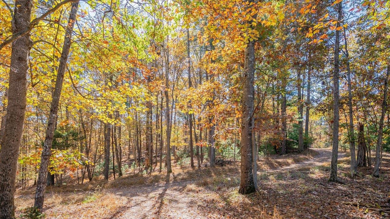 17853 Sundance Forest Rd photo 62