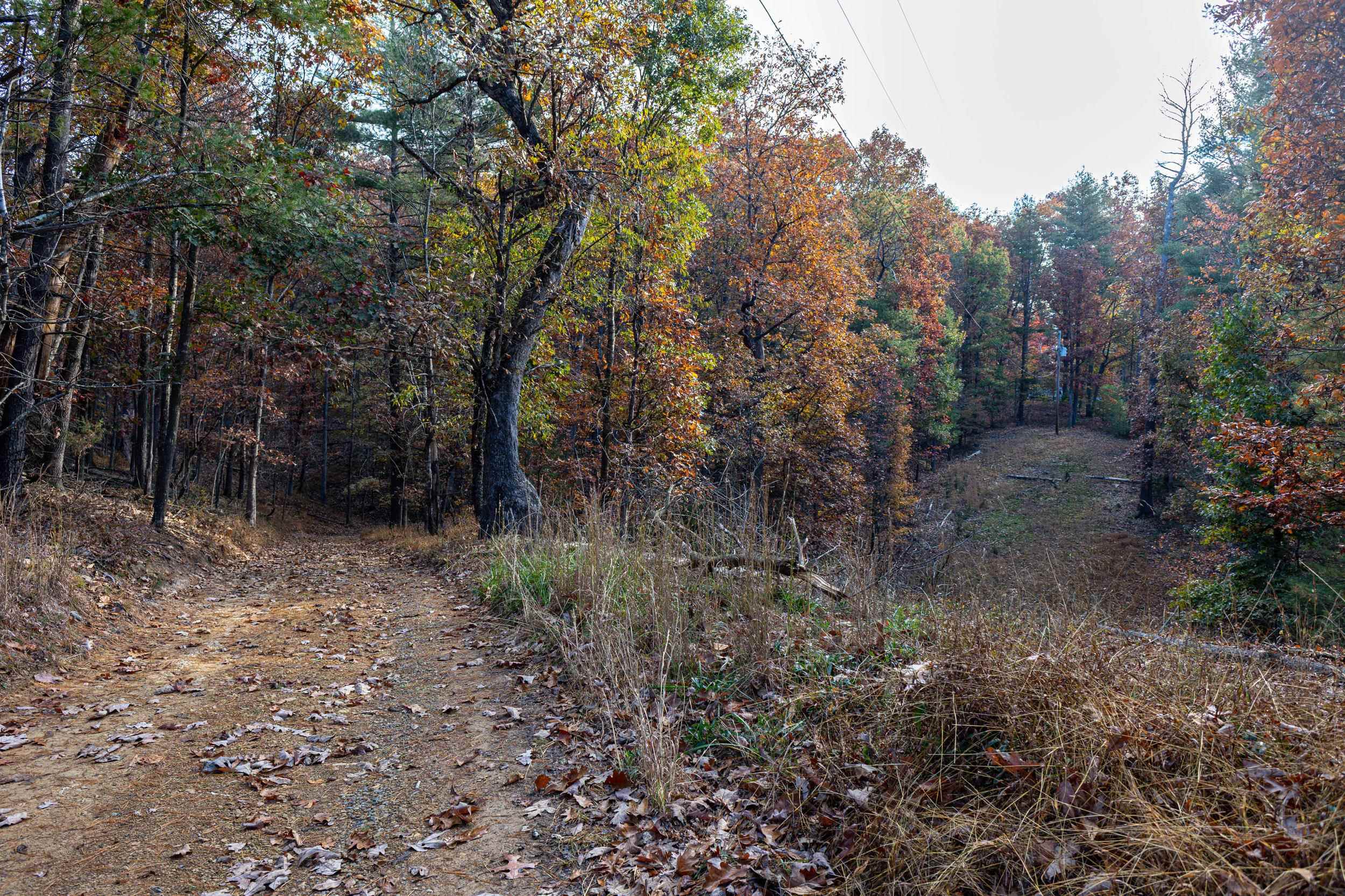 17768 Sundance Forest Rd photo 41