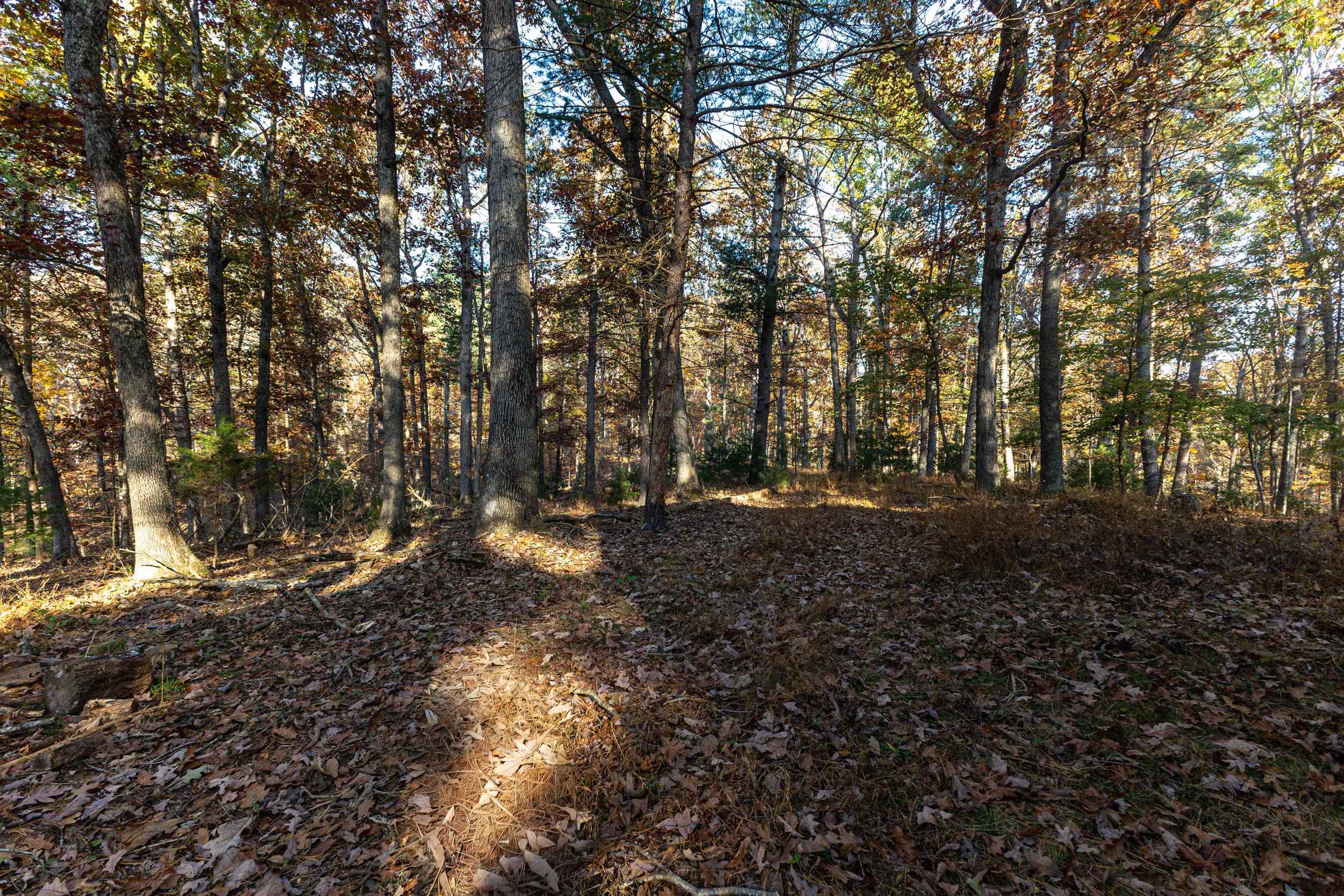17768 Sundance Forest Rd photo 47